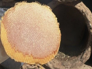 KARAKOVAN BALI (2.5 kg)